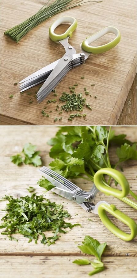 Best Herbs to Cut with Herb Scissors