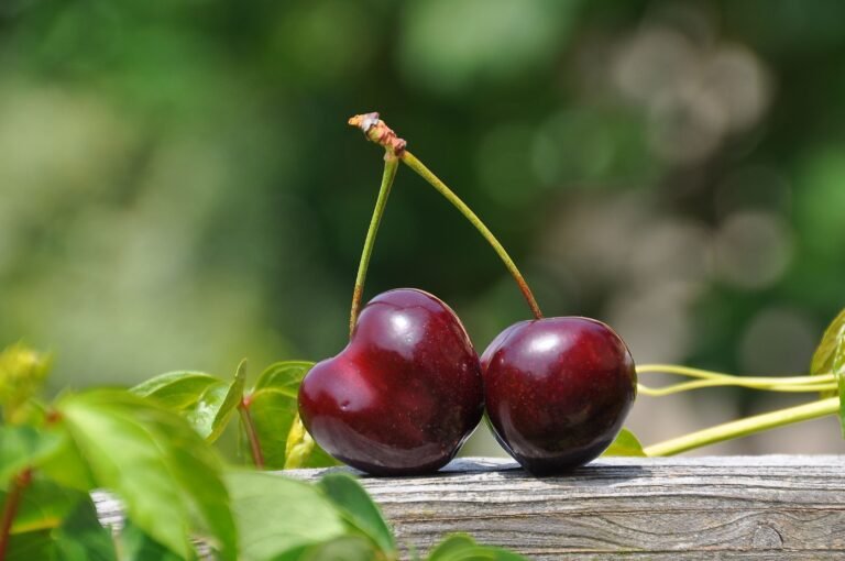 fruit temperature